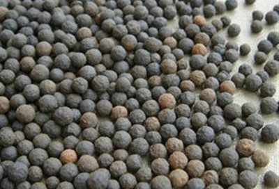 鼎晟聯合(廈門)圖輕質陶粒濾料廈門陶粒濾料