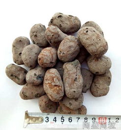 上海陶粒認準陶盛陶粒,上海回填陶粒批發