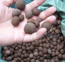 廣東河源回填陶粒質量好不好