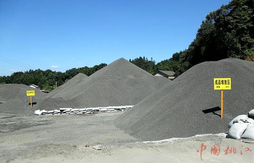 湖南東能投資集團董事長羅山東一行來桃江考察洽談項目