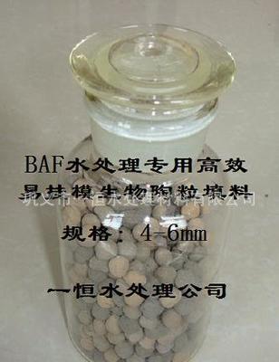 【生物陶粒濾料與水處理陶粒濾料的區(qū)別:一恒生物陶粒】?jī)r(jià)格_廠家_圖片 -