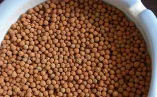 營(yíng)養(yǎng)陶粒.花肥.育苗基質(zhì)_農(nóng)副產(chǎn)品_世界工廠網(wǎng)中國(guó)產(chǎn)品信息庫