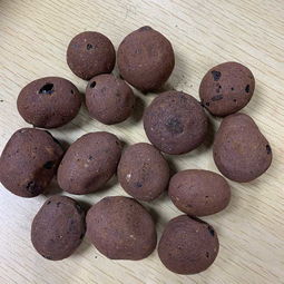 衛生間回填陶粒 陶粒 捷睿斯建材