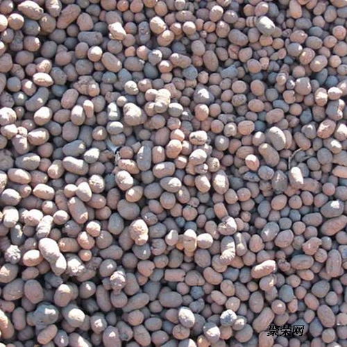 頁巖陶粒 建筑專用頁巖陶粒 碎石陶粒