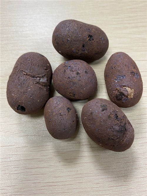 重慶陶粒 建筑陶粒 勝帥實業(yè) 多圖