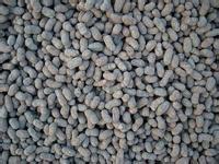 葫蘆島陶粒選購(gòu)指南 價(jià)格、圖片、詳情及優(yōu)質(zhì)廠家推薦