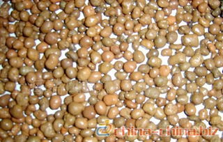 陶粒 多樣規(guī)格與廣泛應(yīng)用的生產(chǎn)指南