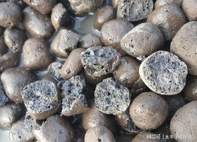 太平洋與您淺析陶粒及輕骨料混凝土的應(yīng)用發(fā)展