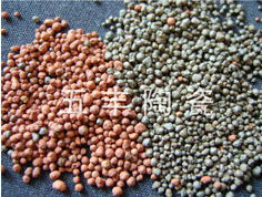 陶粒 一種多功能的環(huán)保建筑材料