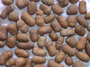 沈陽陶粒濾料 頁巖陶粒的優勢與應用