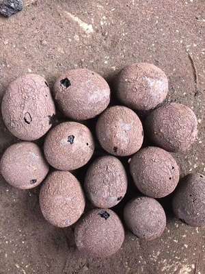 云南陶粒市場行情與價(jià)格參考指南